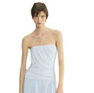 NWT Aritzia Babaton Statement Tube Top glimmer- L